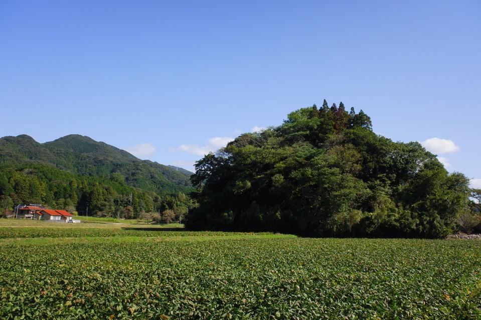 青景城