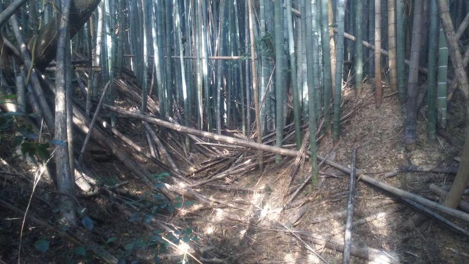 槻下豪族館