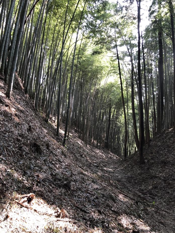 滝山城