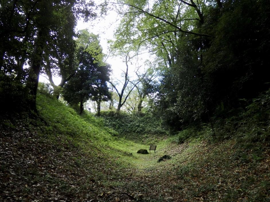 雉岡城