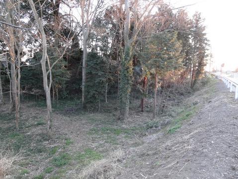 榎本城