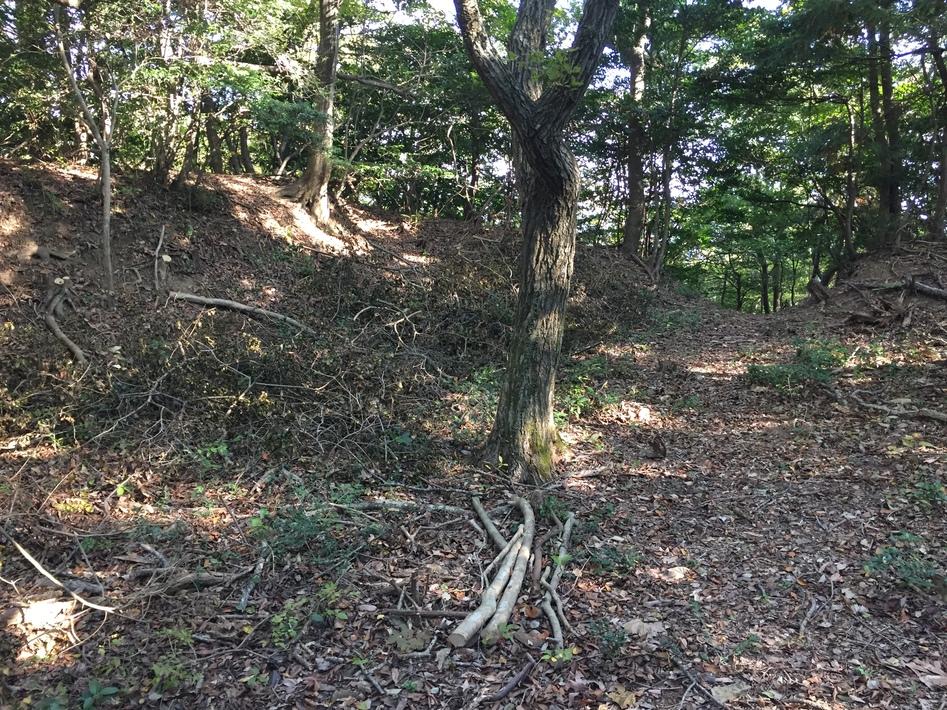 勝山城