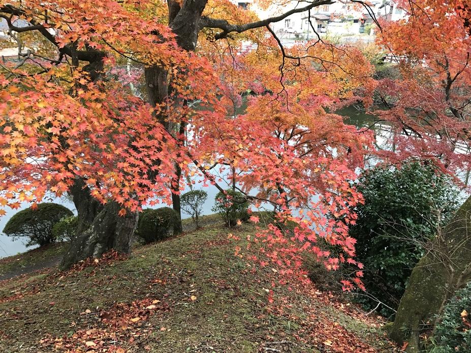 棚倉城