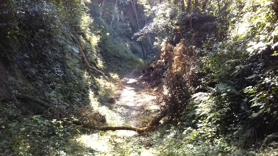 志布志城