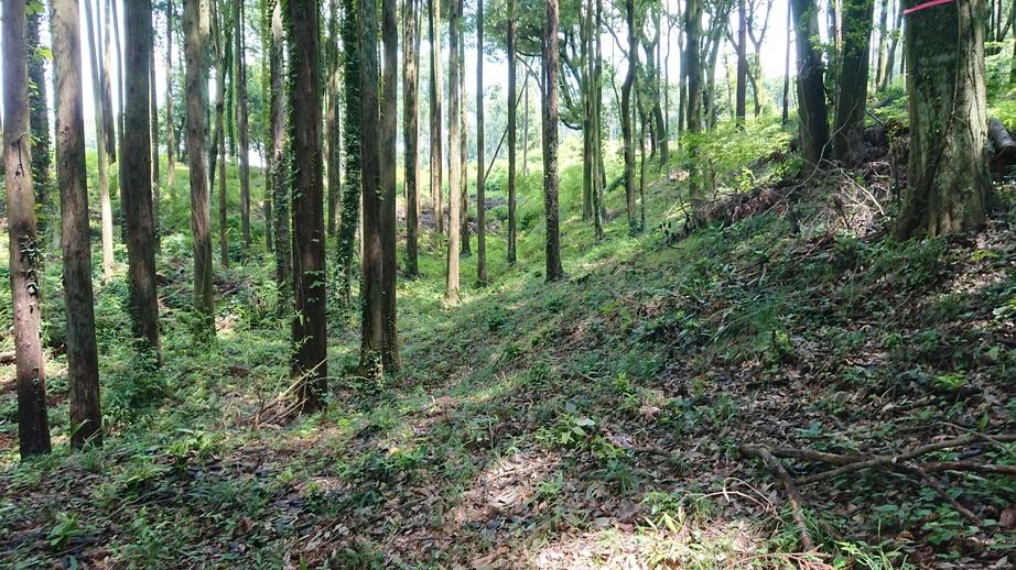 木原城
