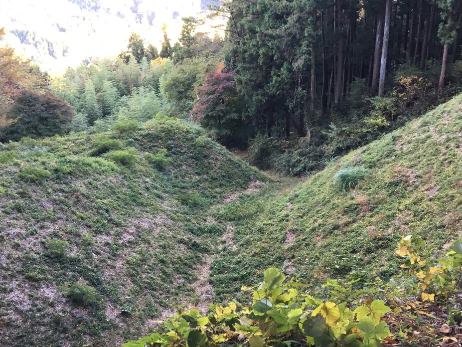 岩櫃城