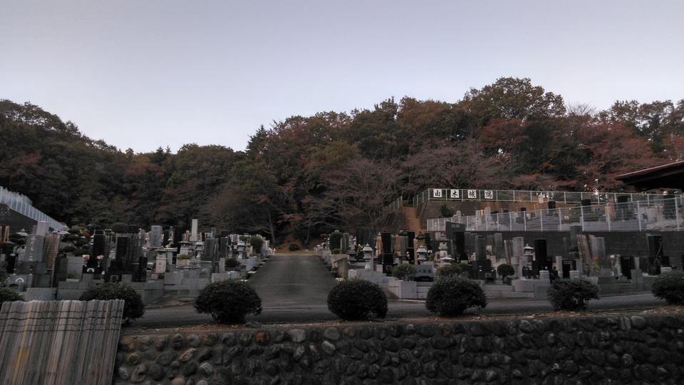 由木城