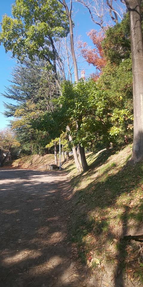 福島城