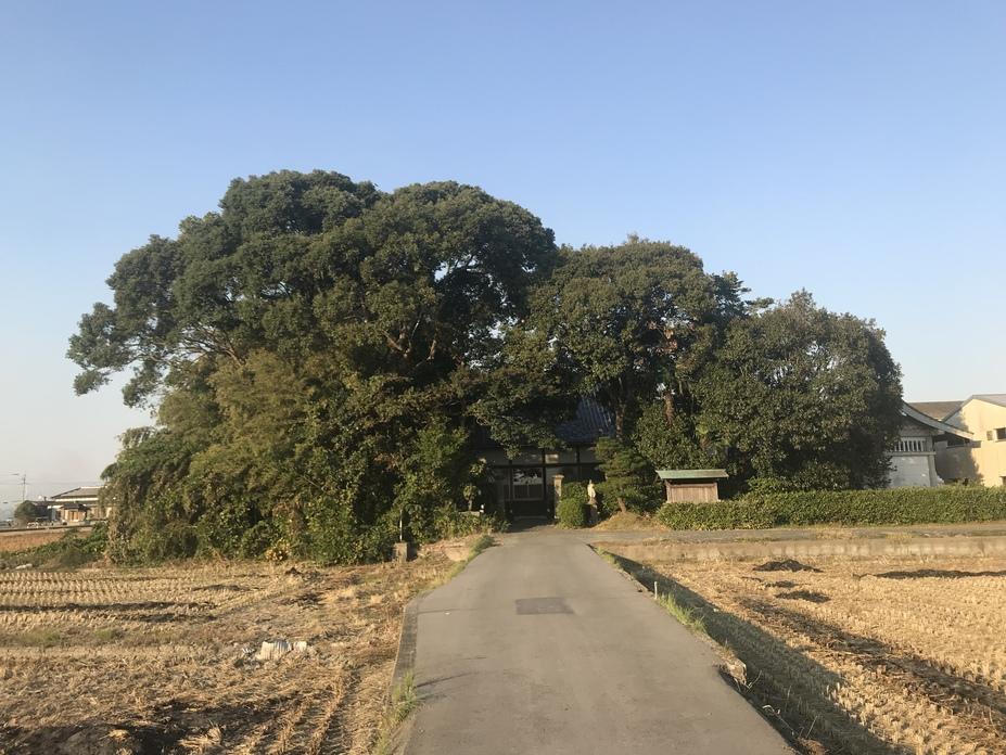 蒲池城