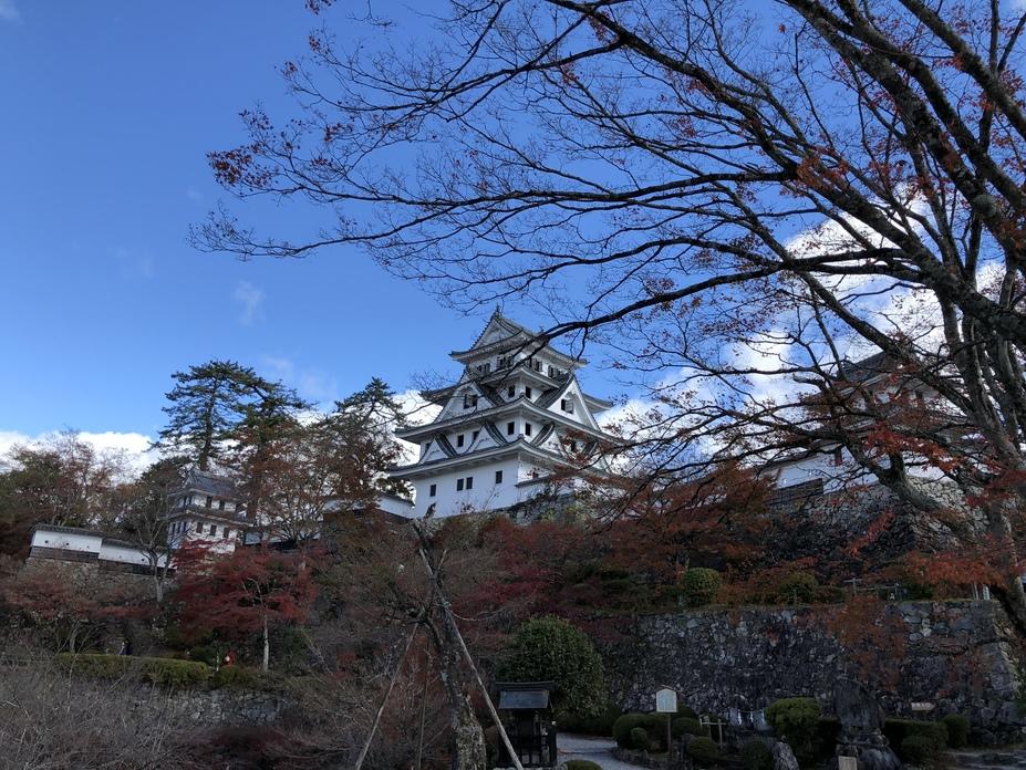 郡上八幡城