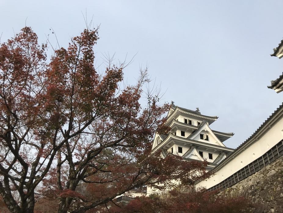 郡上八幡城