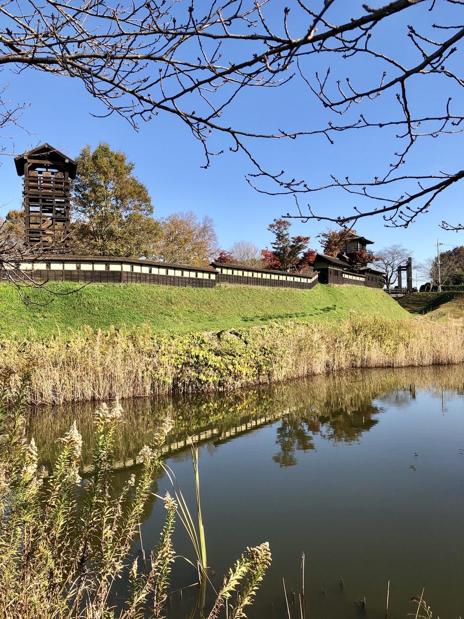 逆井城