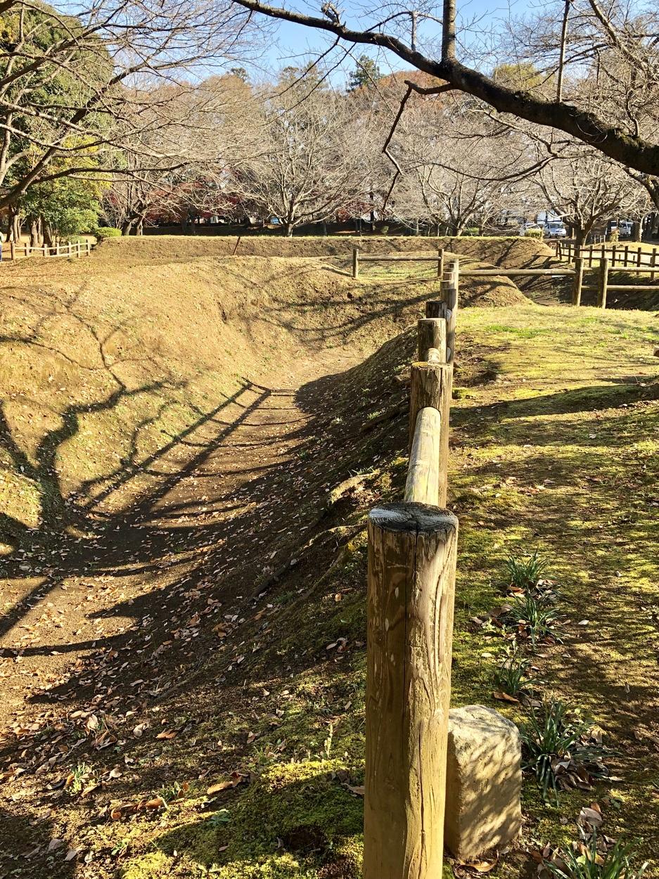 逆井城