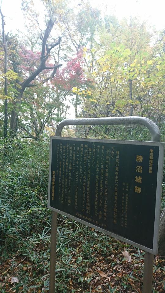勝沼城
