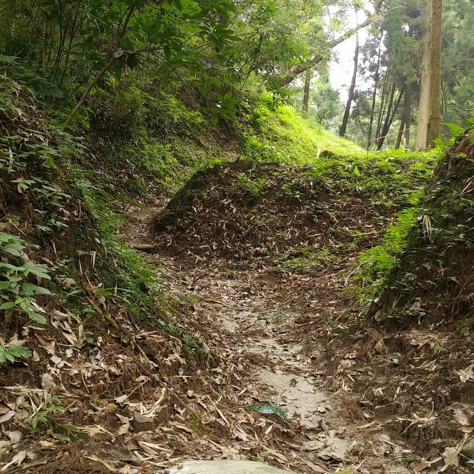 知覧城