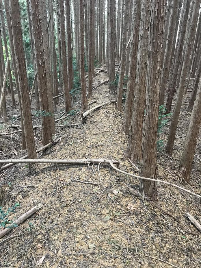 佐味城