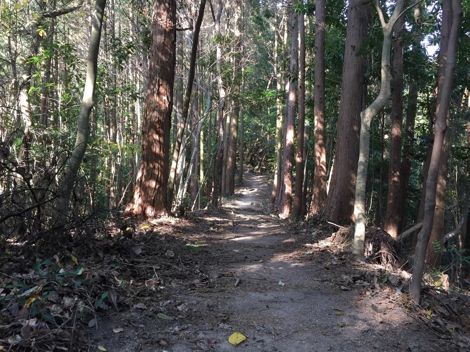 岩門城