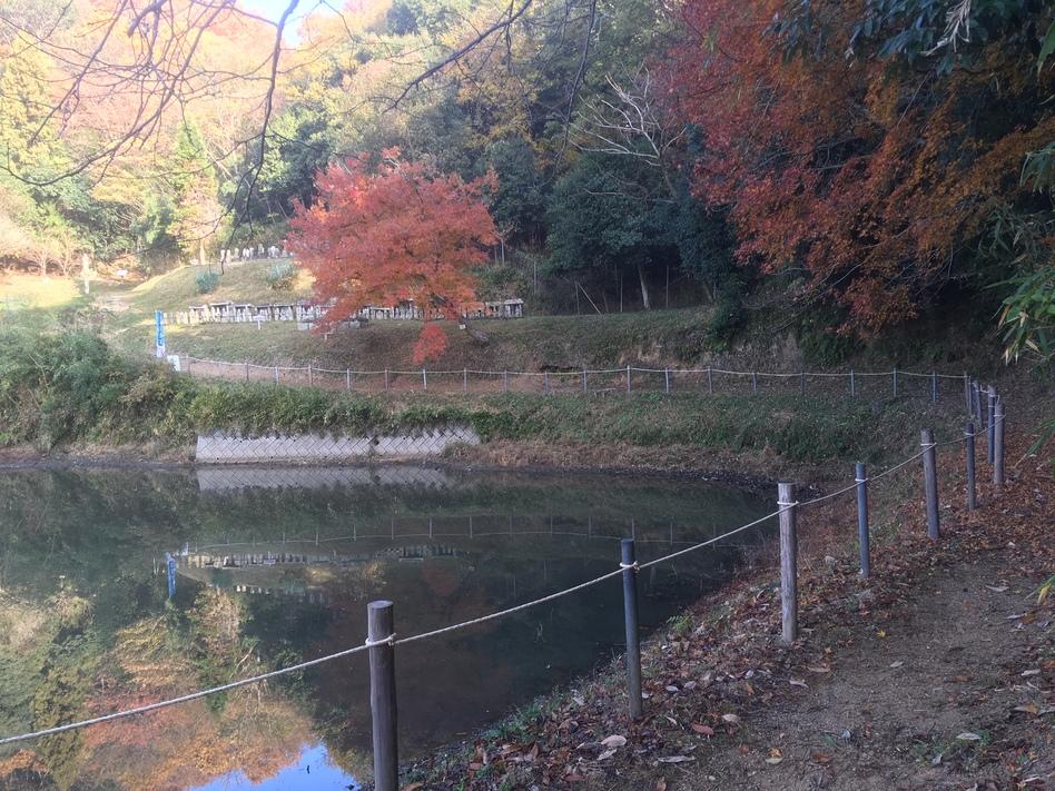 小谷城