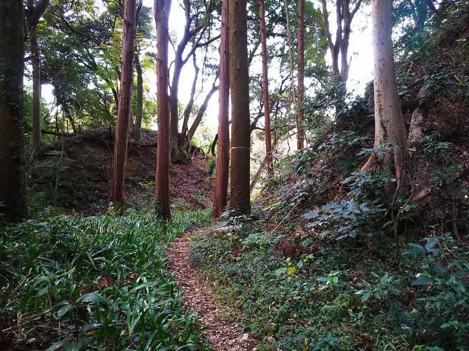 本佐倉城