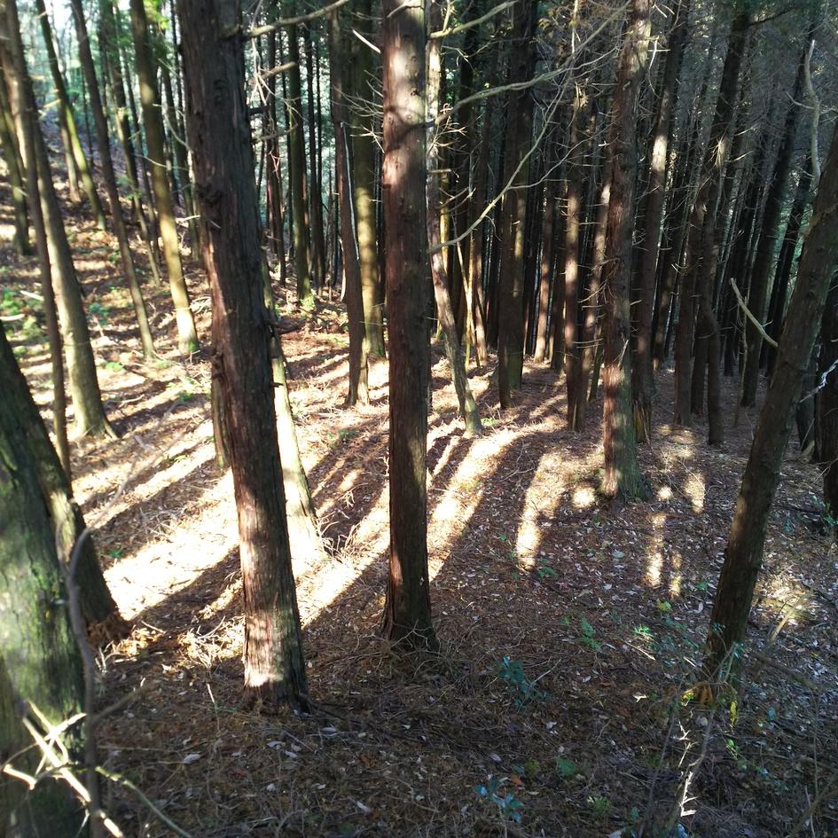 長比城