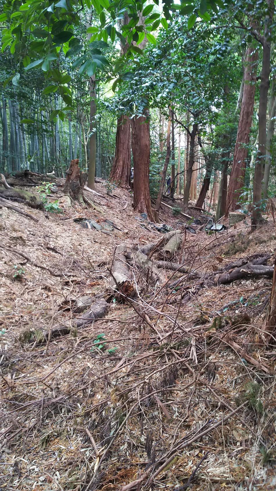 安濃城