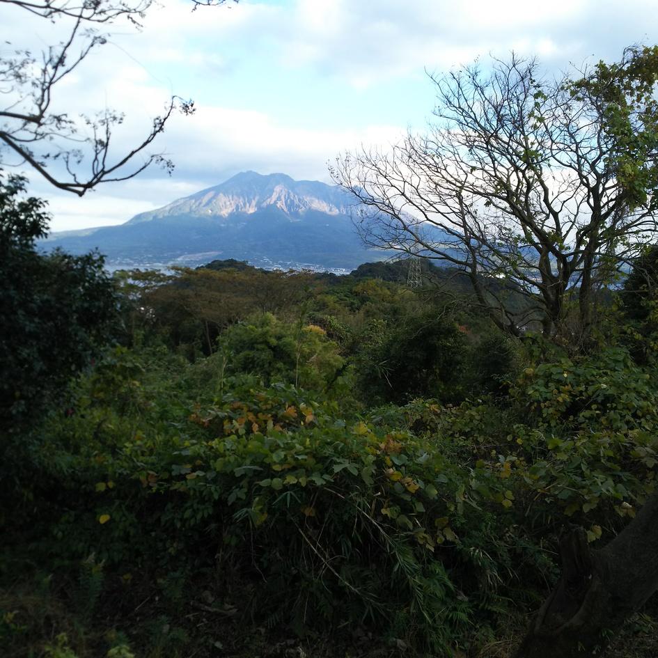 清水城