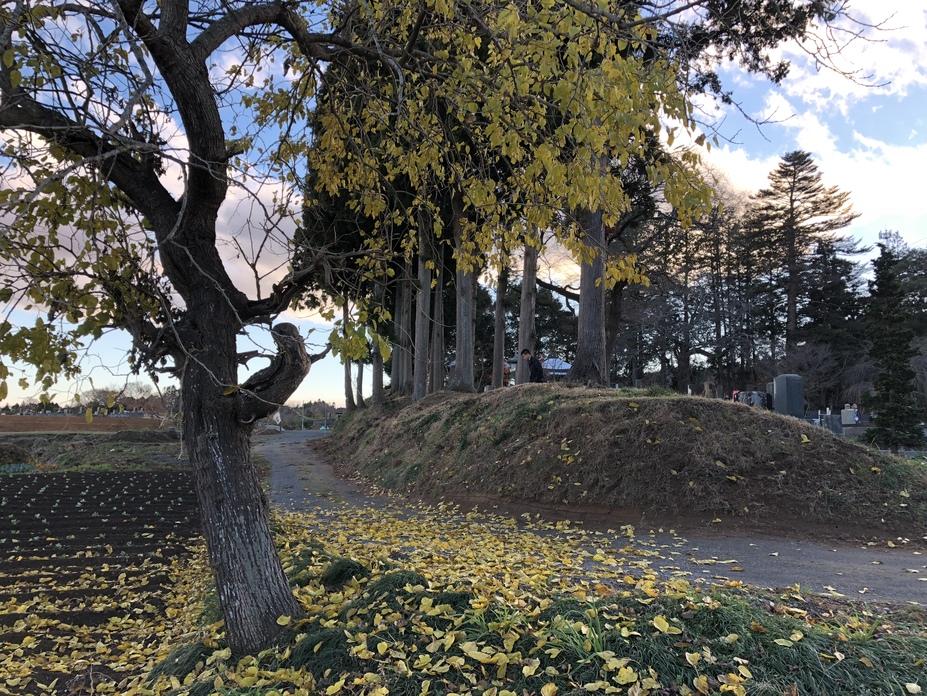 小堤城