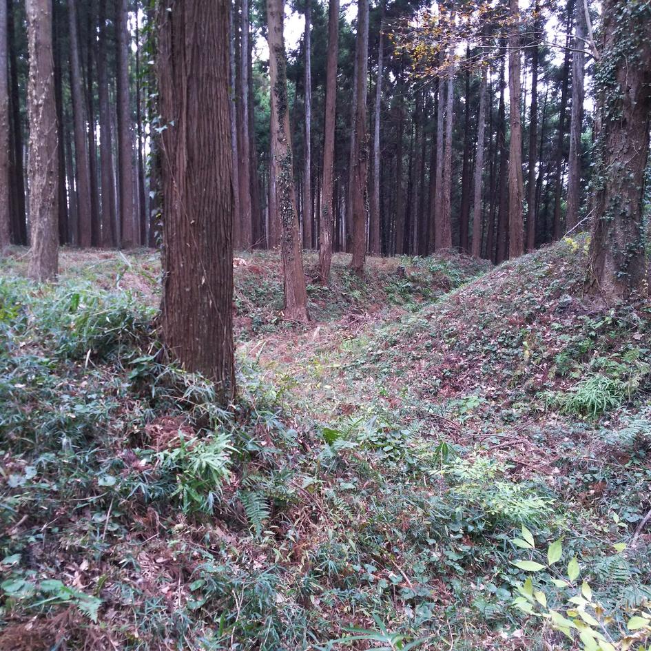 犬成城