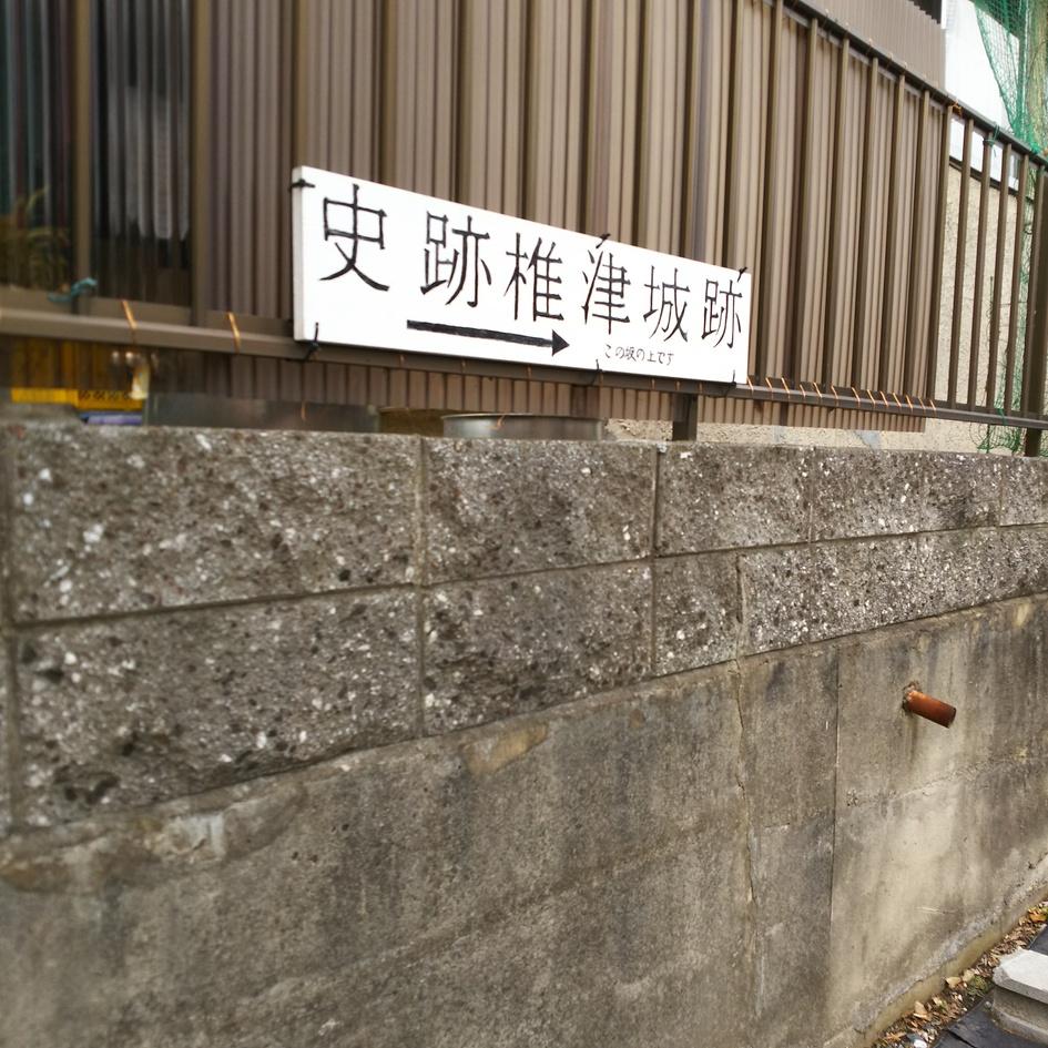 椎津城