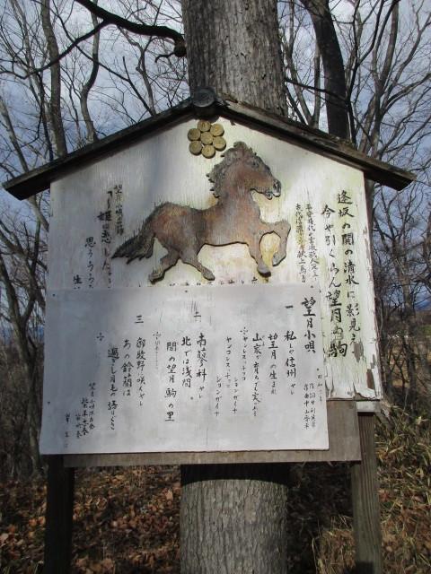 望月城