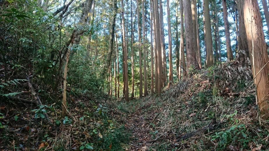 烏山城