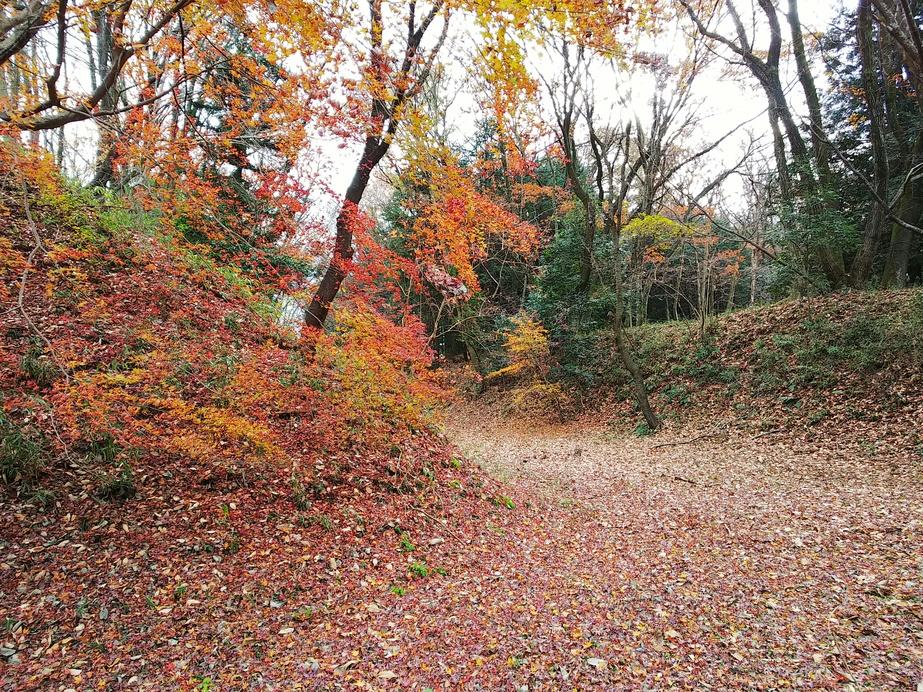 勝山城