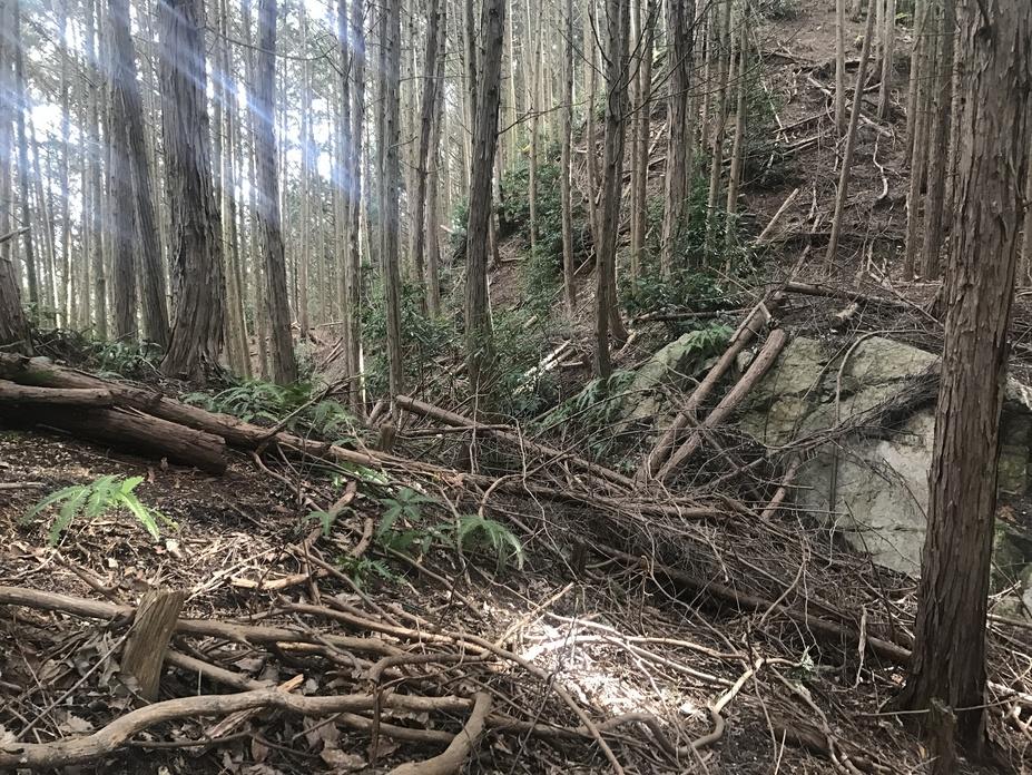 上赤坂城