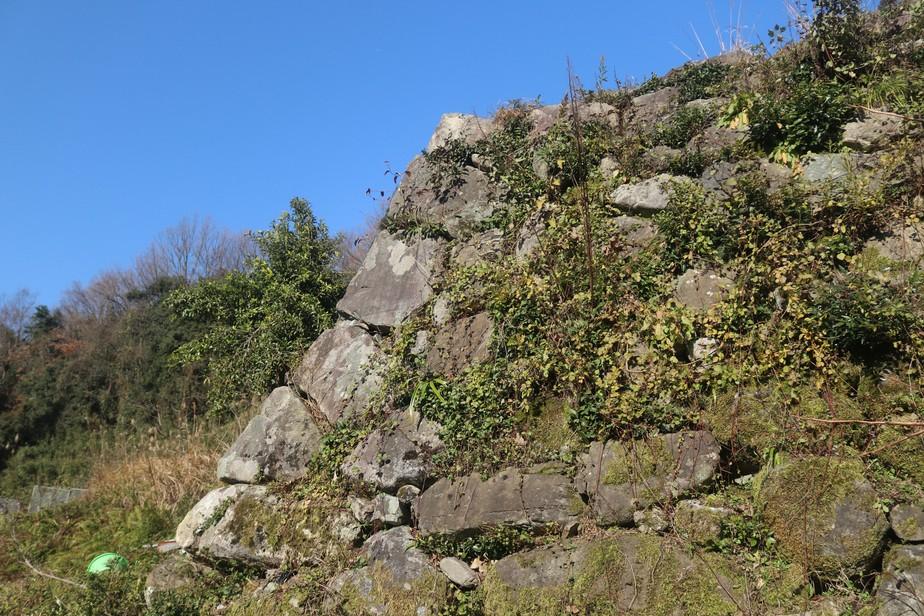 桐山城