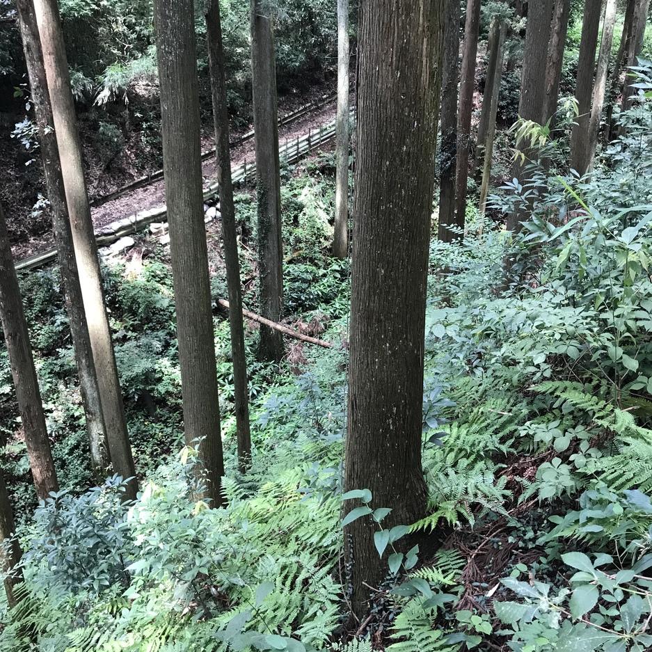 野口城