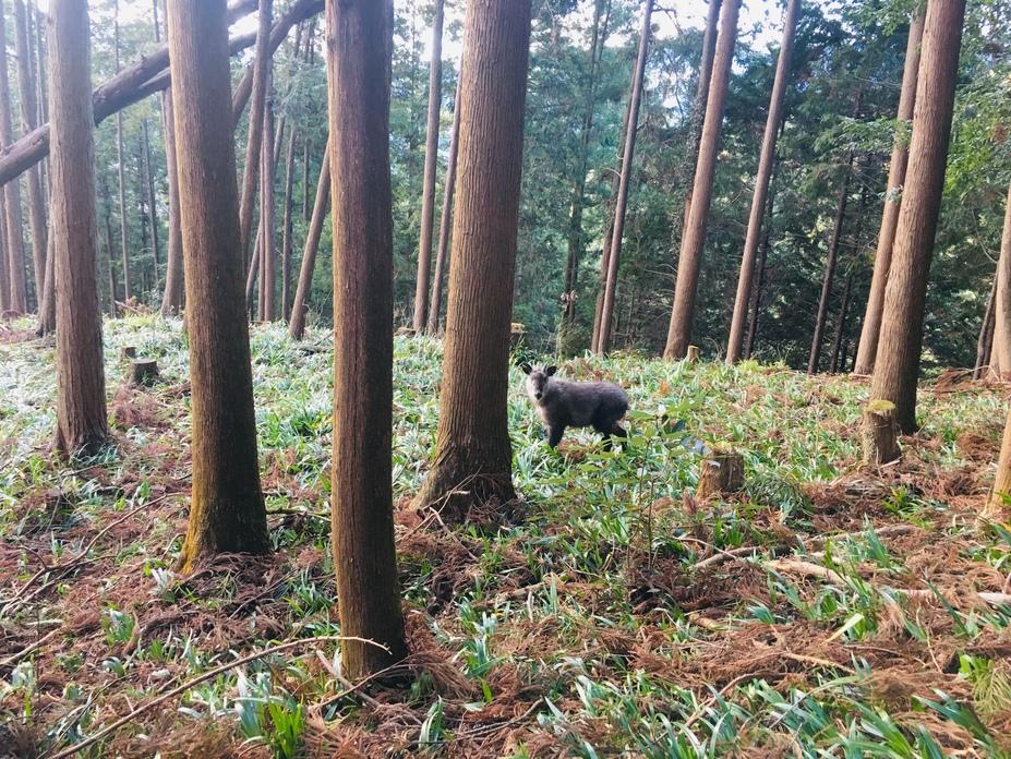 辛垣城