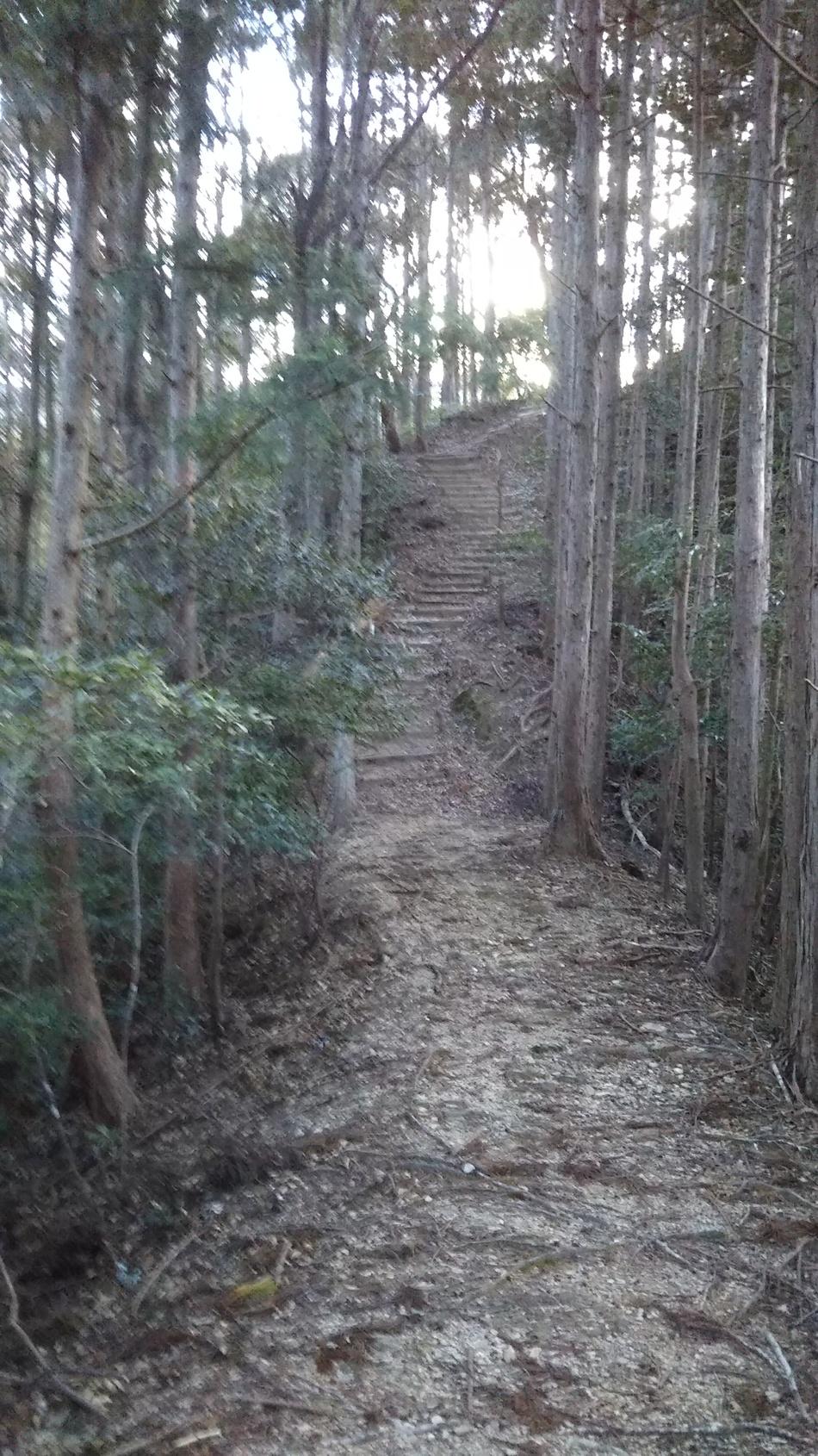 九曲城