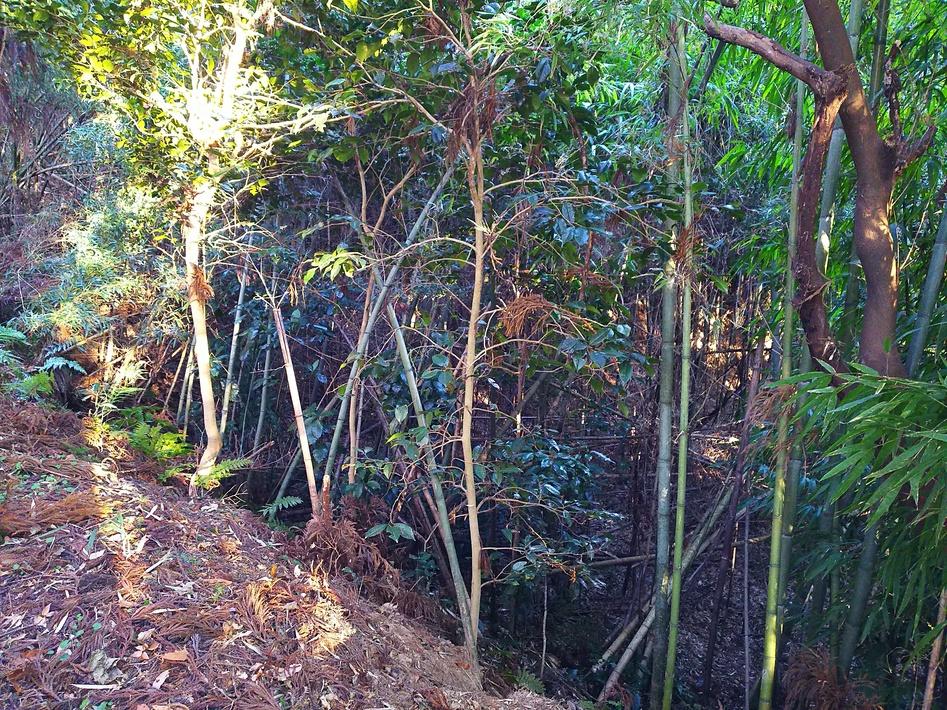 駒ヶ嶺城