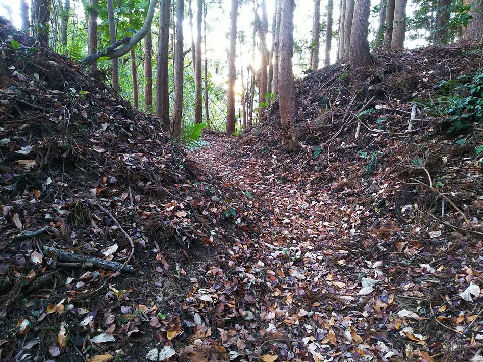 駒ヶ嶺城