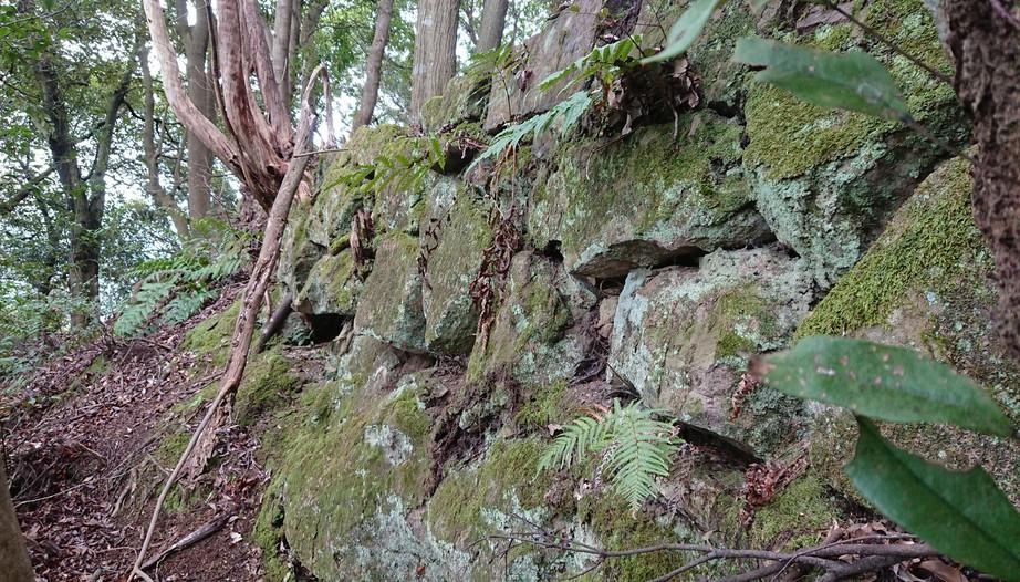 獅子ヶ城