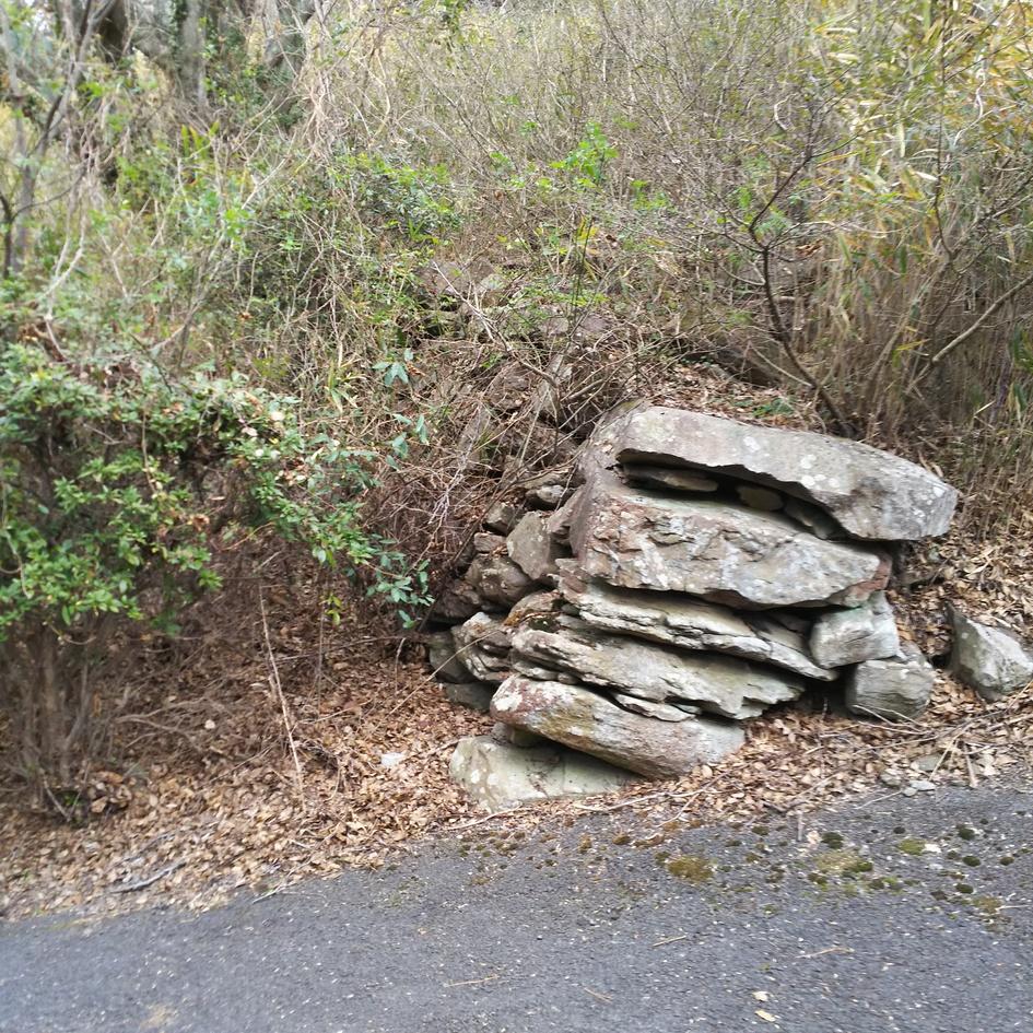 城山