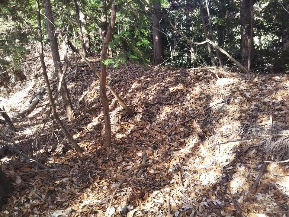 白栖城
