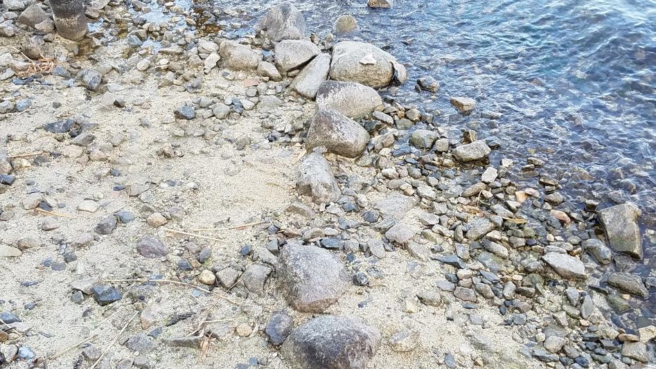 坂本城