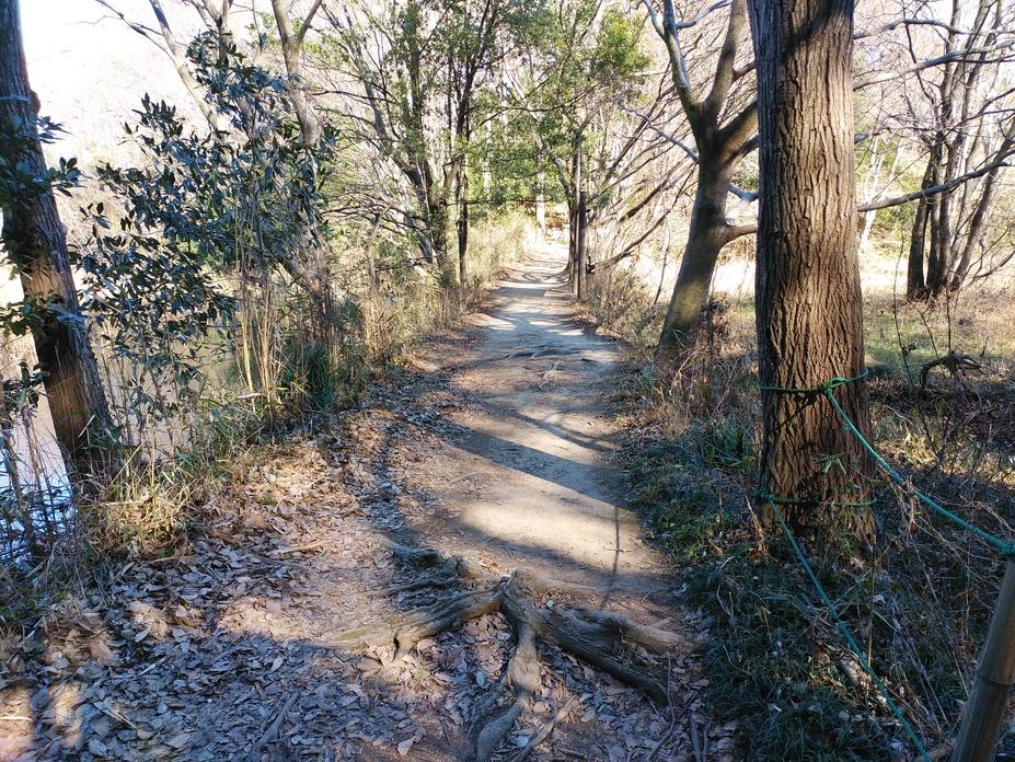 石戸城