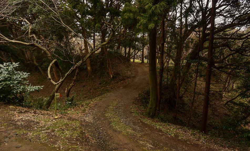 森山城