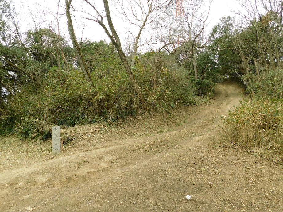 聖通寺城