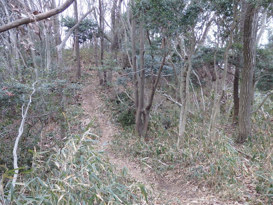 高安城