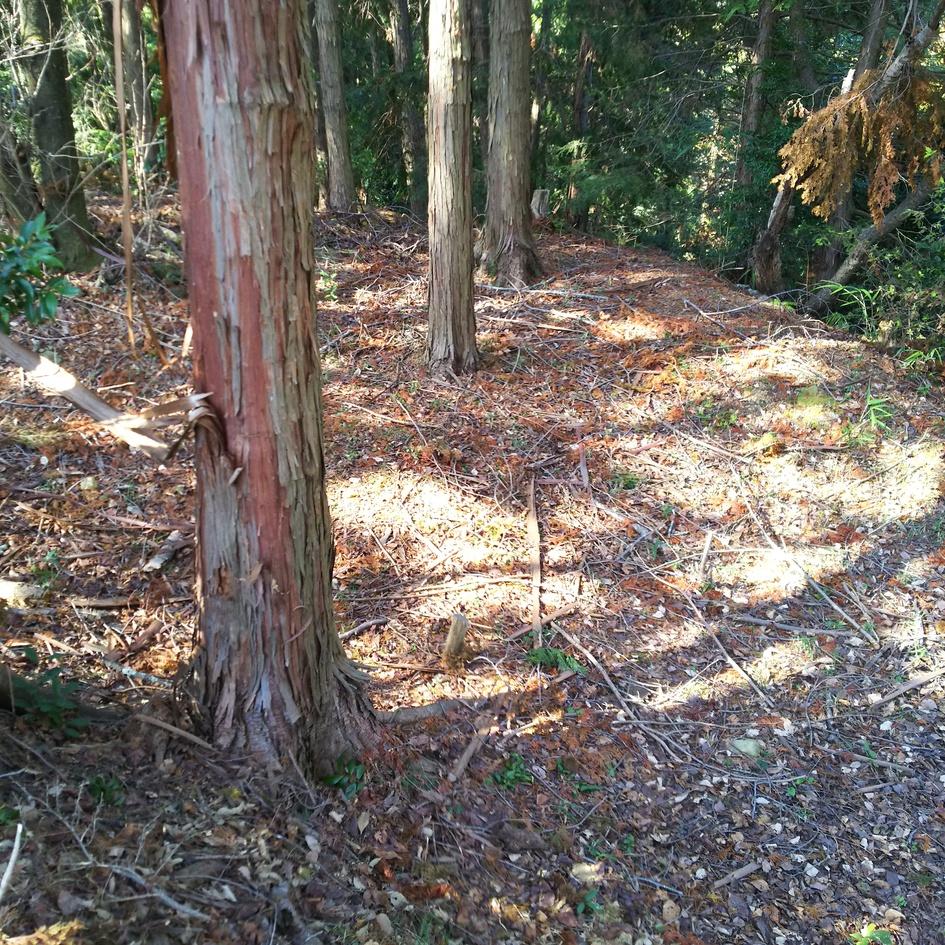猿岡山城