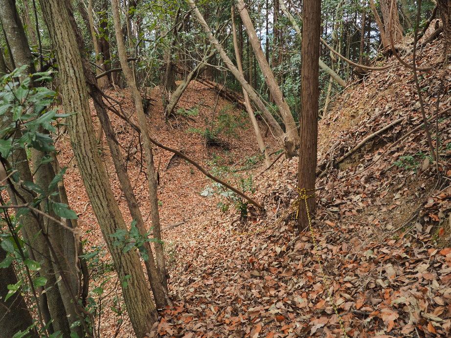井の内城