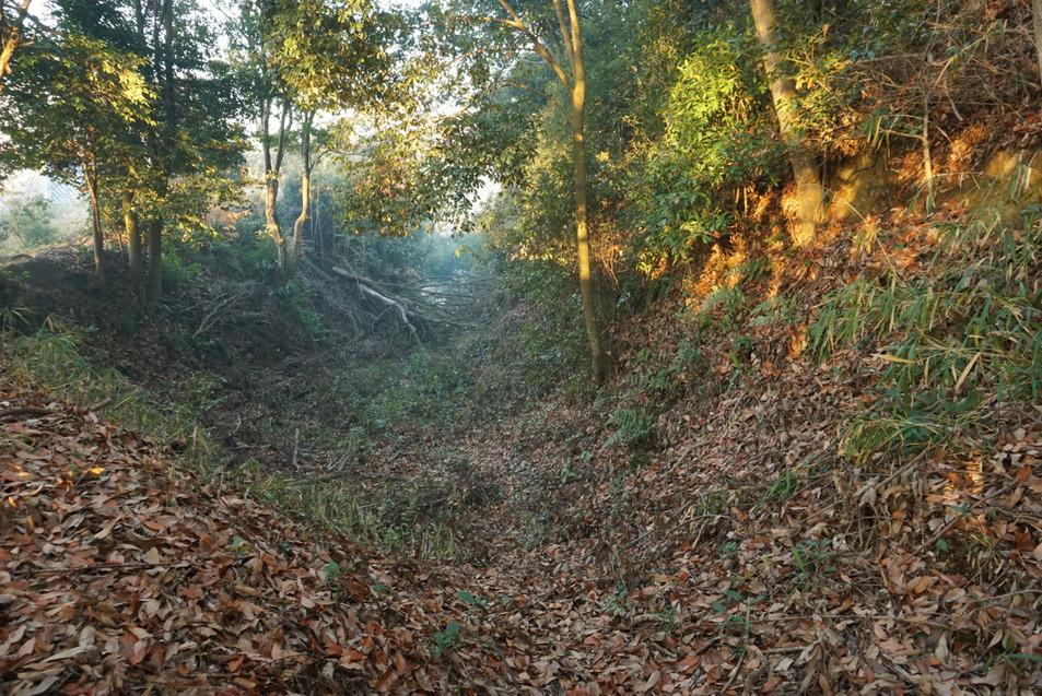 端谷城